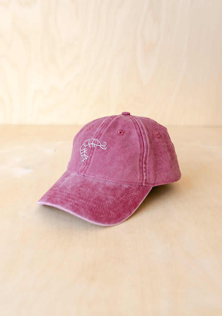 TBCo Recycled Cotton Cap in Shrimp colour with delicate floral embroidery, featuring adjustable strap and vintage-washed finish