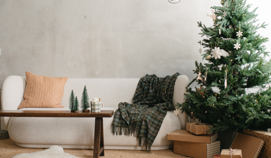 Décorations de Noël naturelles et durables : inspiration intérieure pour l'hiver