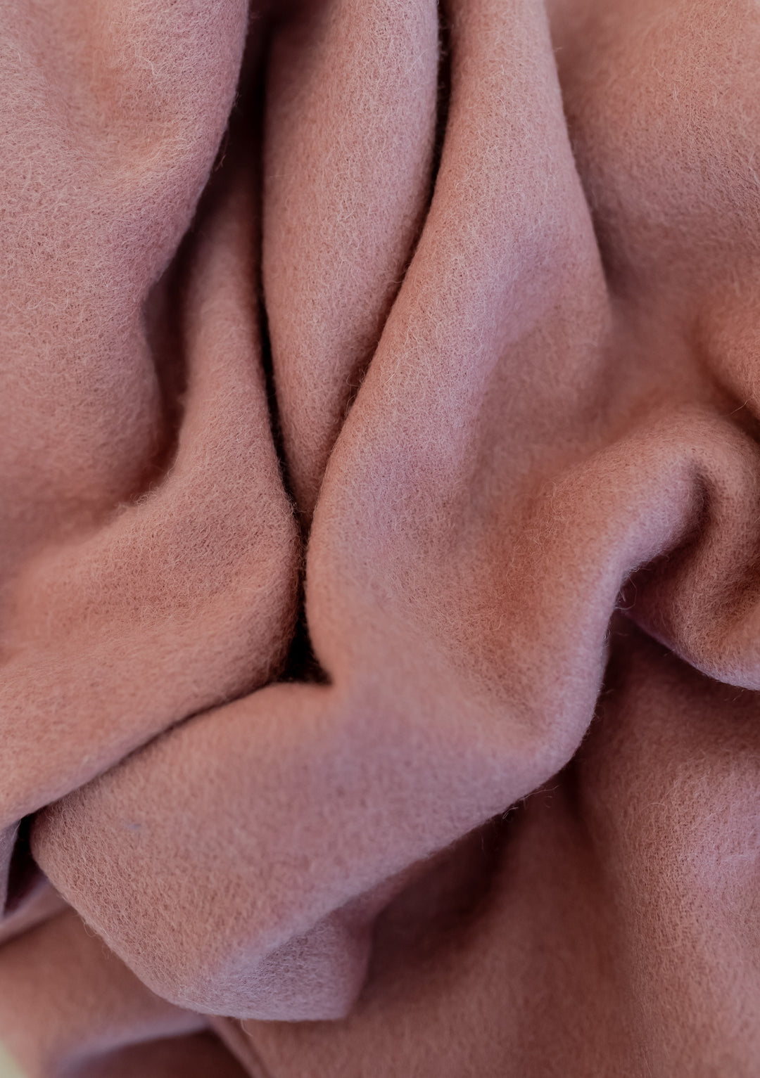 Lambswool Oversized Scarf in Blush