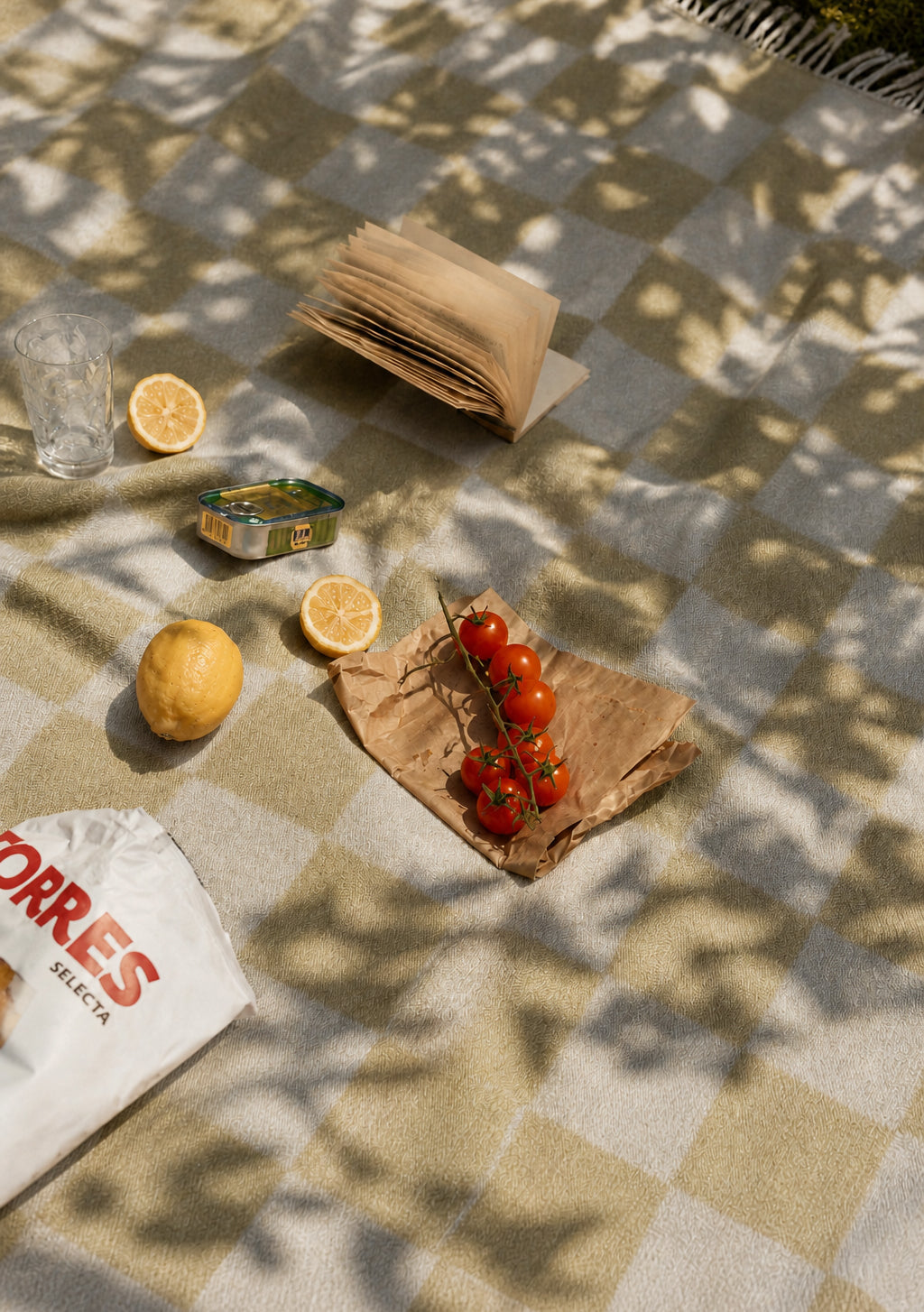Picknickdecke aus recycelter Wolle in Grün-Blau-Karo