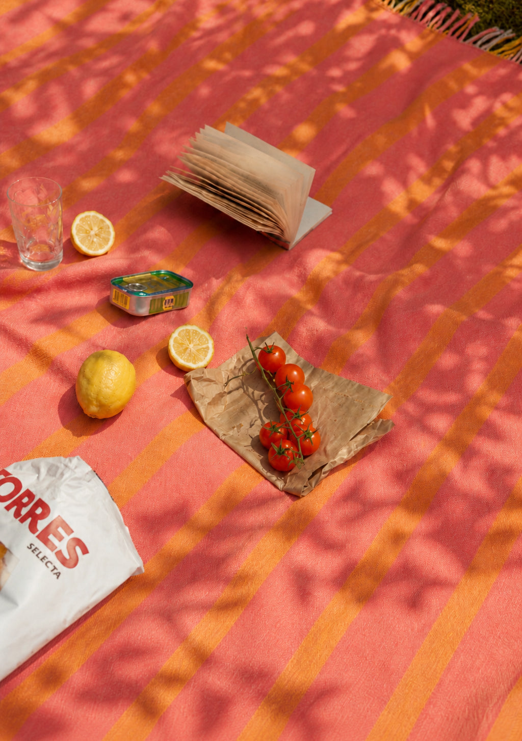 Picknickdecke aus recycelter Wolle mit orangefarbenem Rahmenstreifen