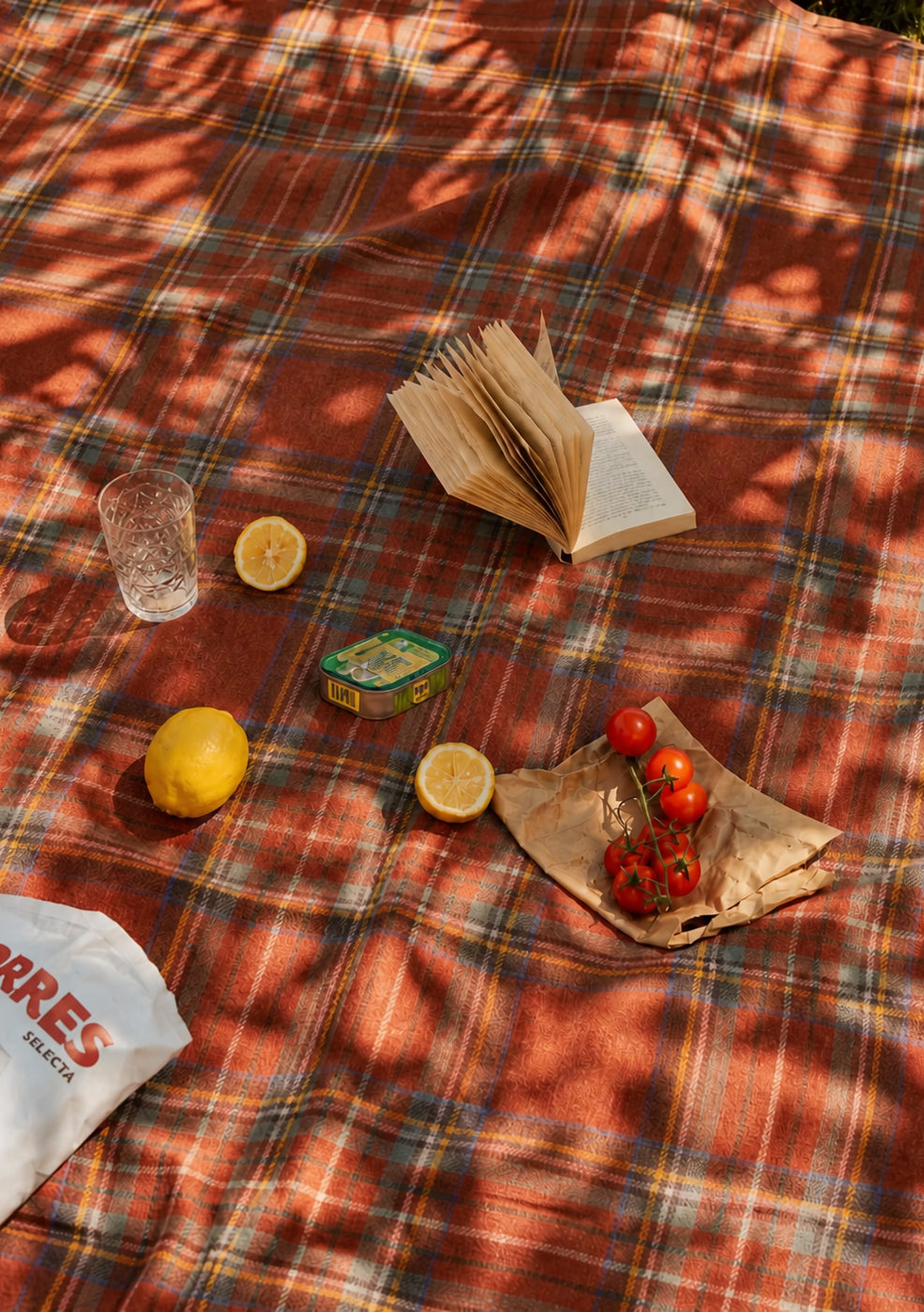 Picknickdecke aus recycelter Wolle im Stewart Royal Antique Tartan 