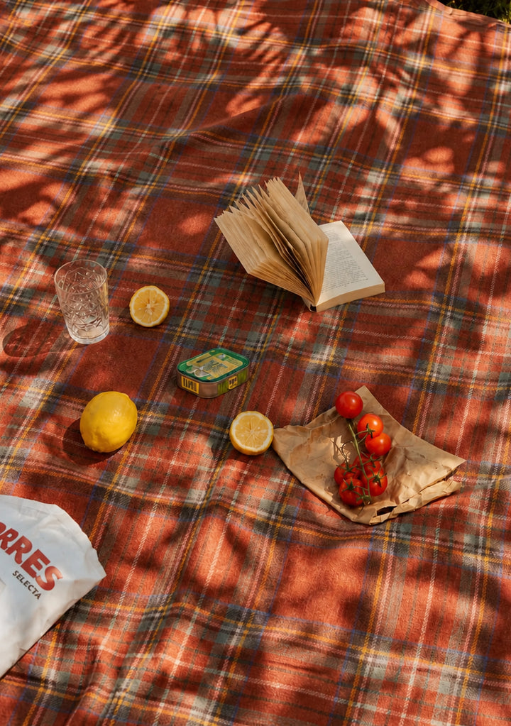 Picknickdecke aus recycelter Wolle im Stewart Royal Antique Tartan 